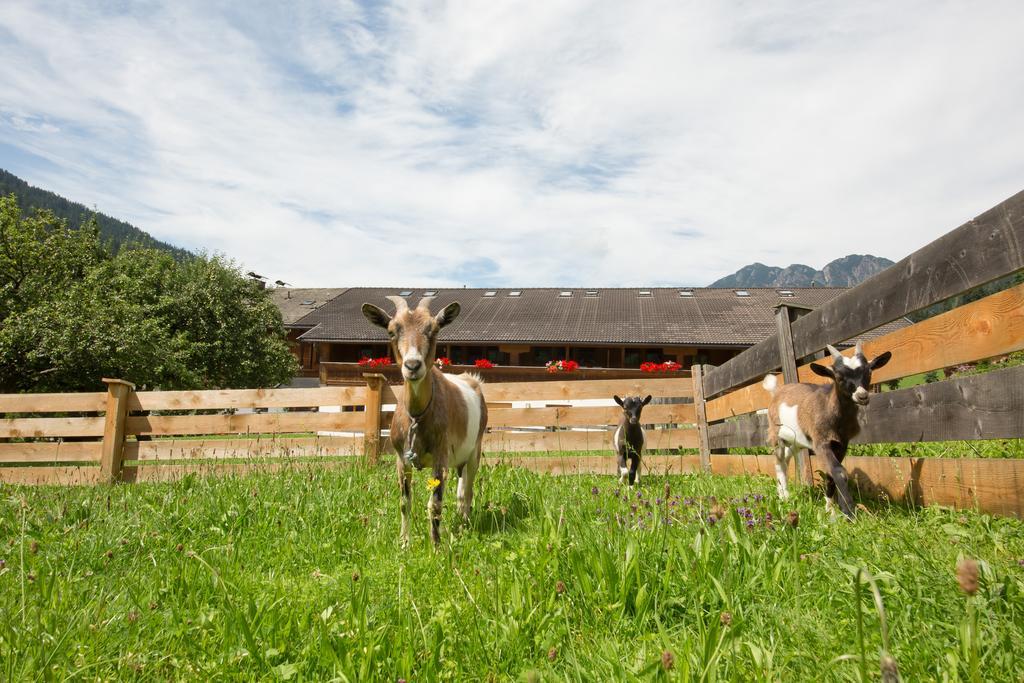 Aparthotel Hummerau Alpbach Luaran gambar